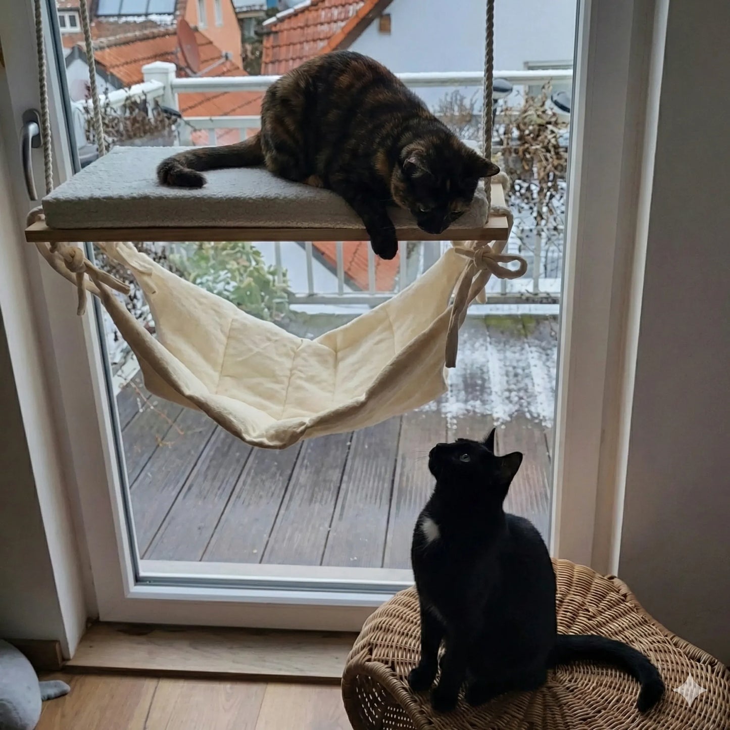 🐾 Hamaca de Ventana para Gatos 😻