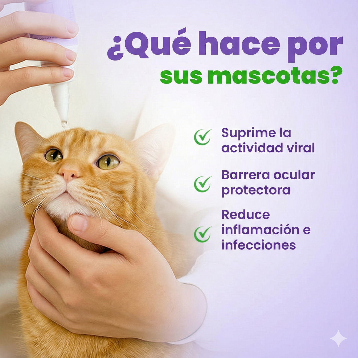 Gotas oftálmicas VisionPet®: gotas diarias de L-lisina para el herpes y el cuidado ocular