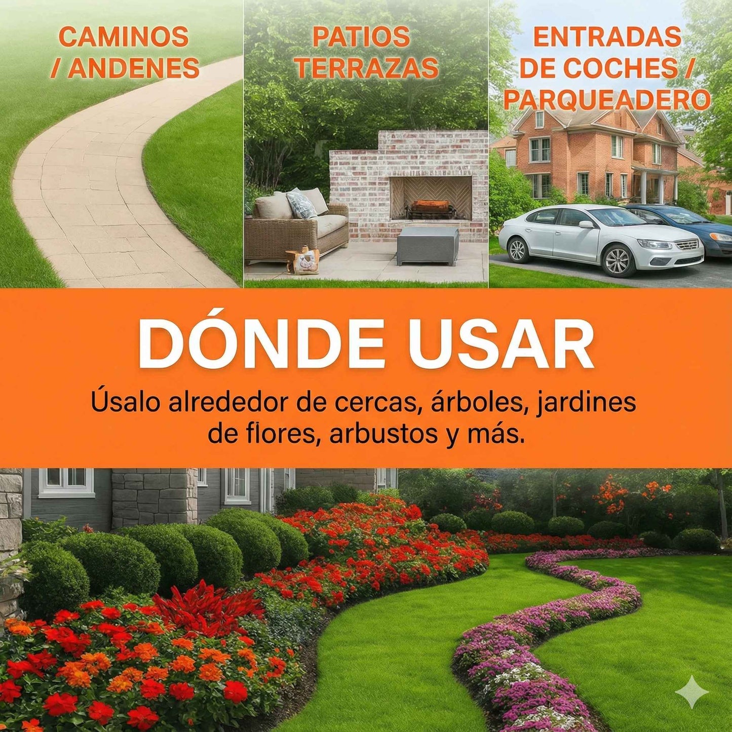 🛡️Herbicida AEXZR® 2 en 1 - Máxima potencia - 🌿Muerte visible en 6 horas☠️