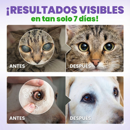 Gotas oftálmicas VisionPet®: gotas diarias de L-lisina para el herpes y el cuidado ocular