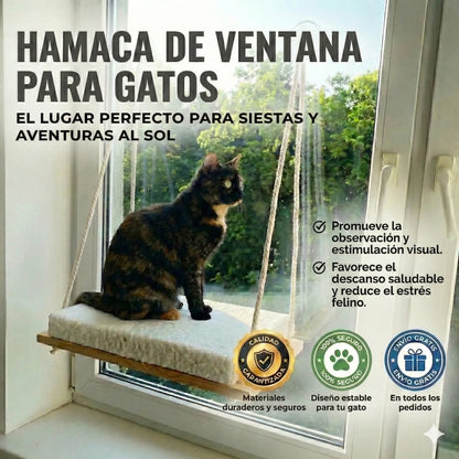 🐾 Hamaca de Ventana para Gatos 😻