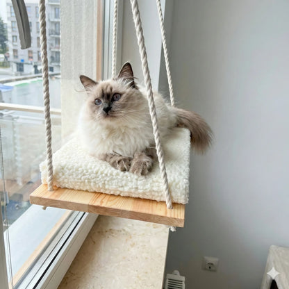 🐾 Hamaca de Ventana para Gatos 😻